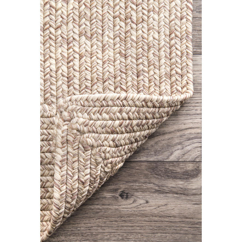 House of Hampton Bromsgrove Hand Braided Tan Indoor/Outdoor Rug